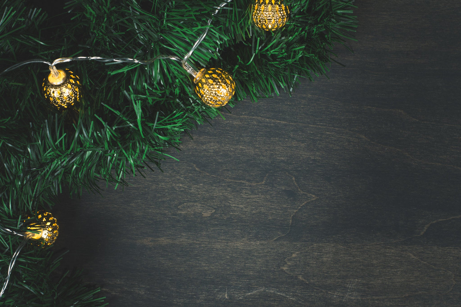 Holiday Gift Guide: Enthusiasts