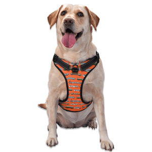 Journey Pet Harness